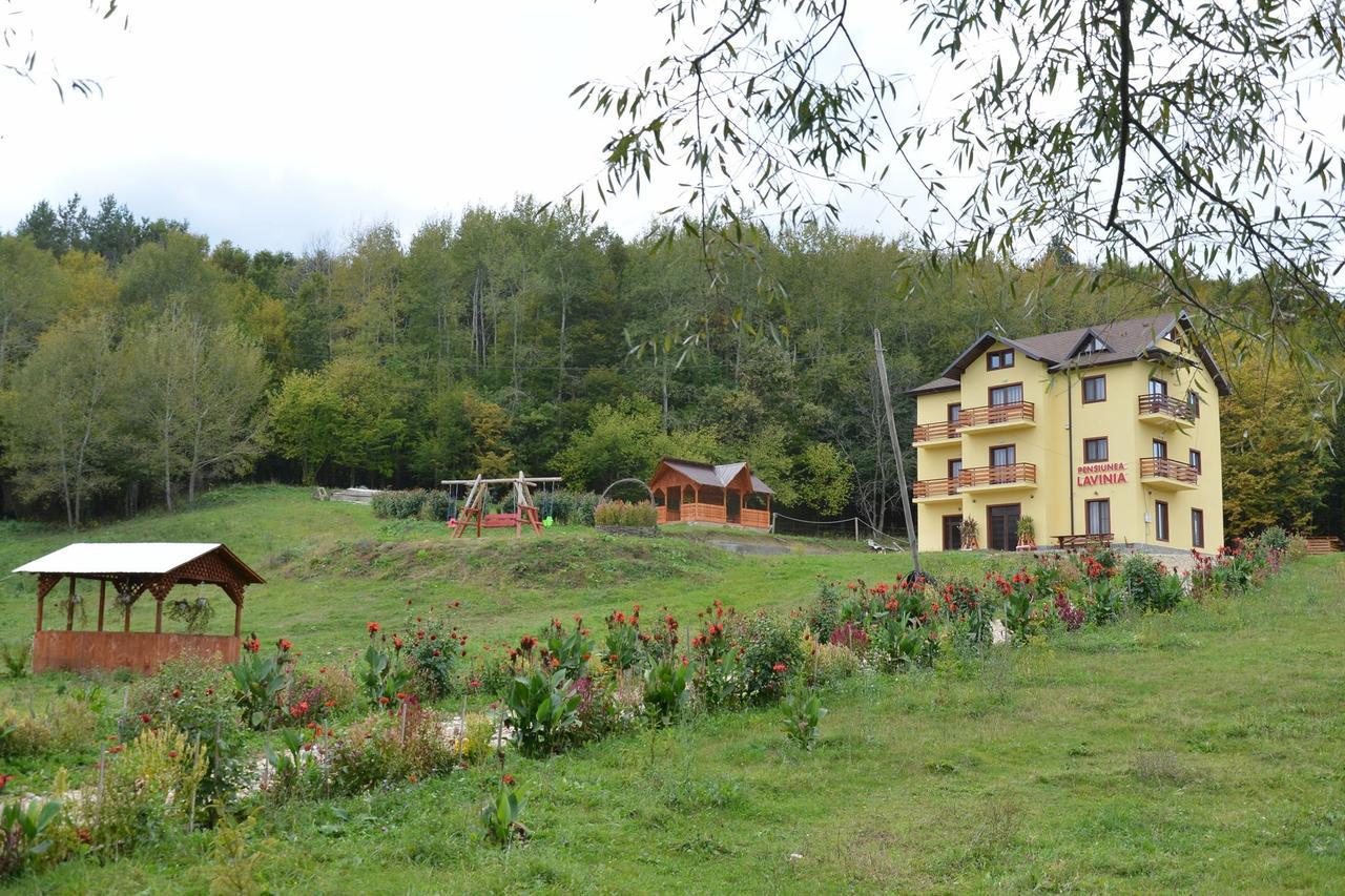 Pensiunea Lavinia Calvini Extérieur photo