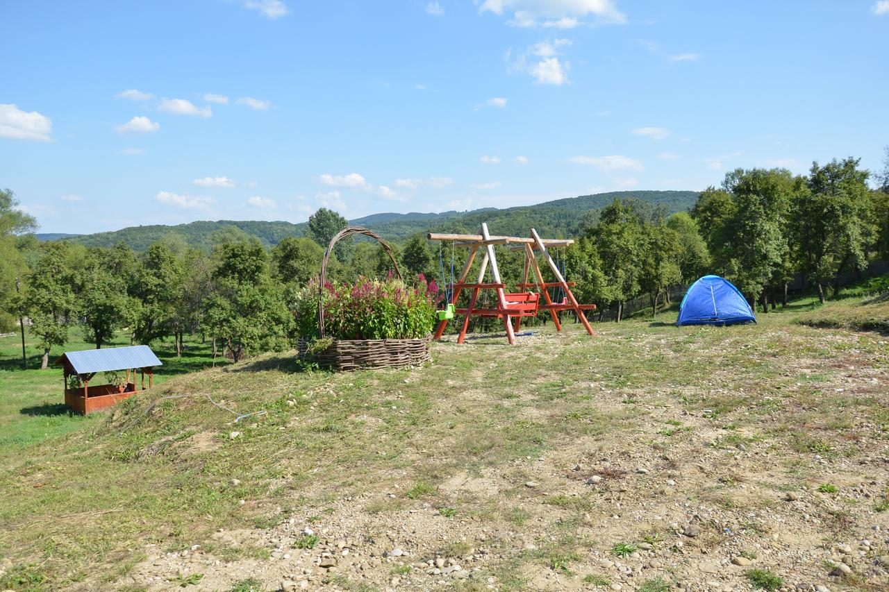 Pensiunea Lavinia Calvini Extérieur photo