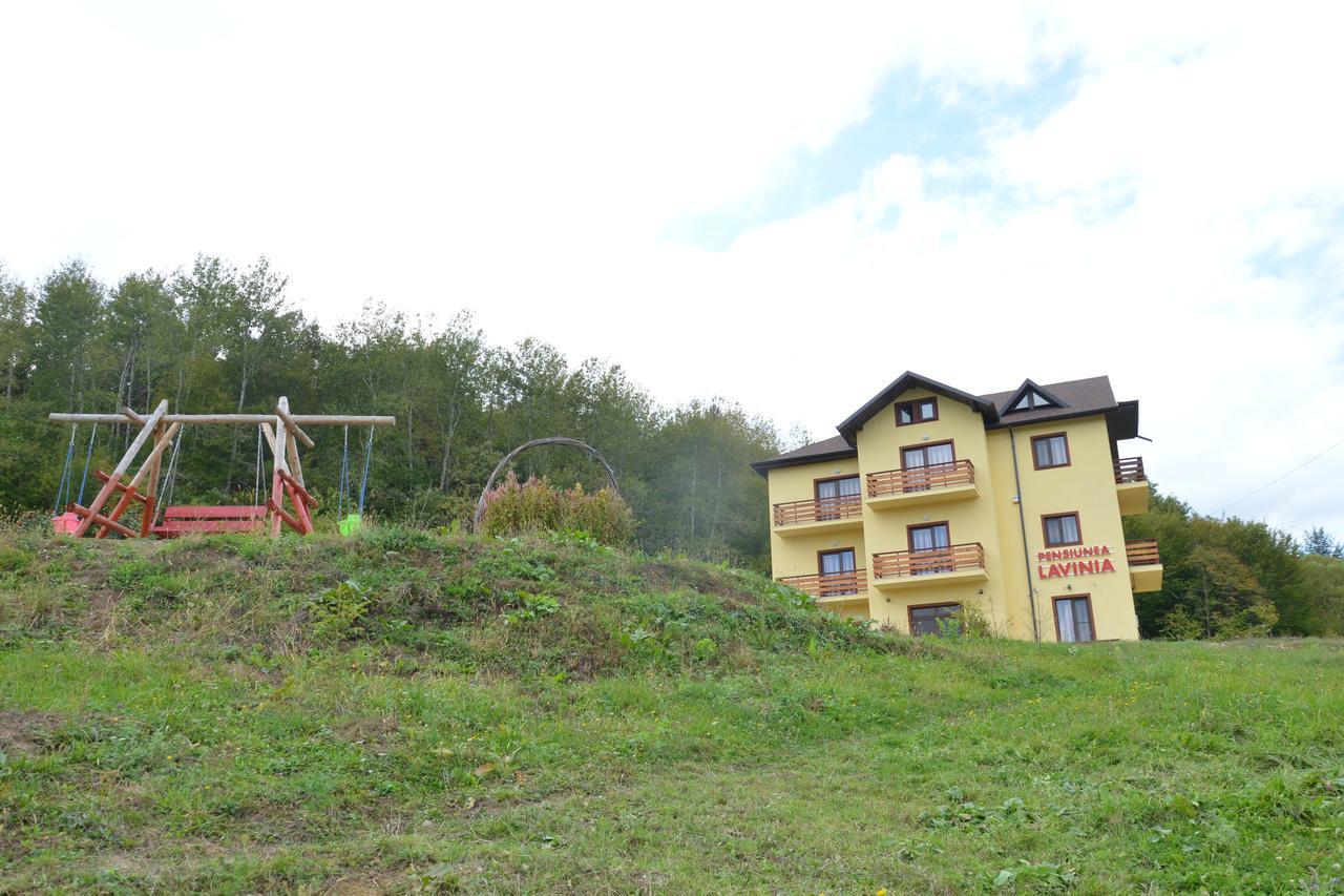 Pensiunea Lavinia Calvini Extérieur photo